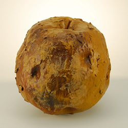 こちらはアラフォー世代のバストのバストアップ